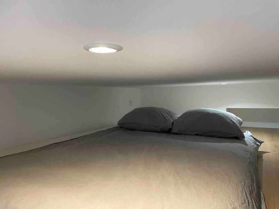 Appartement Bright In The Heart Of Parijs